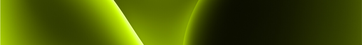 Professional Web Development